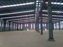 Hình ảnh Cần cho thuê nhà xưởng 15.000 trong Cụm CN Hoàng Gia, Đức Hòa, Long An