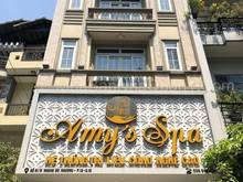 Hình ảnh Chính chủ cần cho thuê Hoàng Duy Khương 7 lầu 363m2