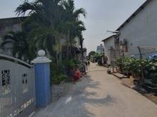Hình ảnh Cho Thuê NNC Có Sân Vườn Đẹp QL13_TĐ