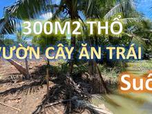 Hình ảnh Bán gấp lô đất vườn 300m thổ cư, giáp suối