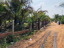 Hình ảnh LỖ CŨNG BÁN, vườn trái cây, SHR, gần ngay dt767