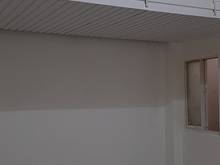 Hình ảnh Cần 1 bạn nữ ở ghép giá siêu rẻ