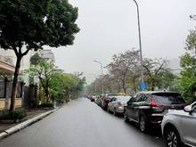 Hình ảnh Bán tòa nhà văn phòng 7 tầng khu vực VIP Quận Cầu Giấy, 80m.