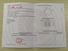 Hình ảnh Chính chủ gửi bán lô đất 3 sào 8 sổ CLN đất vuông có đường tại PRT