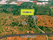 Hình ảnh Bán 1 ha đất mặt tiền đường đá mi trong khu farm công nghệ cao