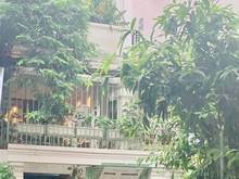 Hình ảnh 🌈Căn Hộ Green House Full nội thất, mặt tiền MB66 là nhà cái uy tín hàng đầu tại Việt Nam trong lành🌈