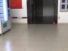 Hình ảnh Cho thuê chung cư cao cấp Sen Hồng 2pn 2wc
