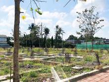 Hình ảnh Bán Đất thổ cư Hẻm xe hơi thành phống tân an