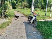 Hình ảnh Chủ bán nhanh thu vốn gấp gấp gấp Lô Đất 1/Nguyễn Kim Cương
