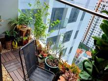 Hình ảnh cho thuê Trang Chủ MB66.COM / Đăng Ký Tặng 66K chung cư Q2, 2pn, full, 15,5tr, De  Capella