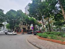 Hình ảnh Bán nhanh biệt thự Mỹ Đình 1, Lô góc, 170m2, xây dựng 4 tầng,
