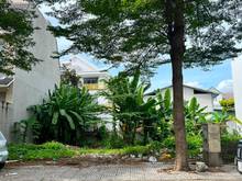 Hình ảnh Thanh lý gấp lô 80m2 đường Trần Văn Giàu, Bình Chánh. Giá 1 tỷ8 sổ sẵn
