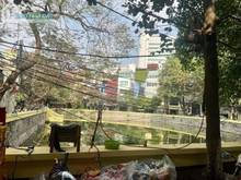 Hình ảnh Thửa Đất Vàng Tây Sơn, Oto Tránh, KD Sầm Uất, View Hồ Đẹp, 80m2x4,3m