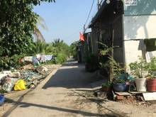 Hình ảnh Cho Thuê Nhà Xưởng Cống hợp Số 2