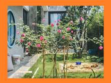 Hình ảnh Nhà Vườn Lài, đẹp, 5 tầng, 100M2, full nội thất, đường 6M xe hơi.