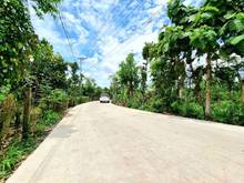 Hình ảnh Kẹt tiền cần bán gấp 202m2 thổ cư, đường bê tông, thông, lộ giới 16m.