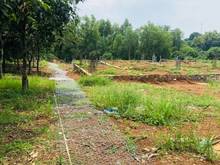 Hình ảnh Kẹt tiền bán gấp 1102m2 có sẵn 100m2 thổ cư, đường bê tông, view hồ.
