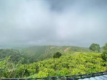 Hình ảnh Chính chủ cần bán lô đất view đồi, thích hợp làm homestay
