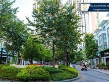 Hình ảnh (7 x 18m) Bán biệt thự khu an ninh, yên tĩnh 24/24 đường Phổ Quang