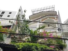 Hình ảnh Nhà 3 tấm ngay khu nhà ga T3 Hoàng Hoa Thám. DT: 5 x 10m giá 7.6 tỷ