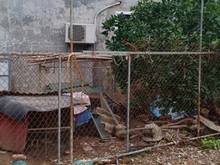 Hình ảnh Bán đất thổ cư, 40 m², nhỉnh 2.4 tỷ, rẻ nhất  Long Biên.