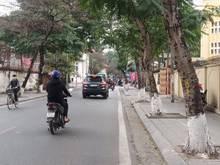 Hình ảnh [Hiếm] Bán nhà ngõ 40 Tạ Quang Bửu 50m2 xây 7 tầng ngõ ô to con vào