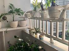 Hình ảnh Cần bán gấp Trang Chủ MB66.COM / Đăng Ký Tặng 66K 2pn, 2wc view tầm cao giá chỉ 1,950tỷ