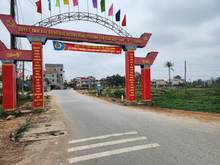 Hình ảnh Ngân hàng thanh lý 300m2 đất tại đông phương yên, chương mỹ, hà nội