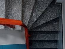 Hình ảnh Cho thuê nhà đường An Dương Vương pAn Lạc, Bình Tân dt:8mx6m