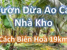 Hình ảnh Bán Gấp 2,6 sào Vườn Ao Nhà có 2 Mặt Tiền Siêu đẹp