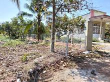 Hình ảnh GIẢM NGAY 500 triệu, hơn 3 sào vườn trái cây giáp tp biên hòa