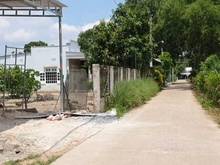 Hình ảnh Tôi chính chủ cần bán gấp sào đất ngang 31 dài 35