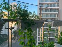 Hình ảnh Bán căn Riverpark Premier ngay trường SSIS