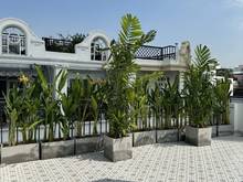 Hình ảnh Bán nhà  Kỳ Đồng, Quận 3 DT 5x13 5 tầng giá bán 19.5 tỷ