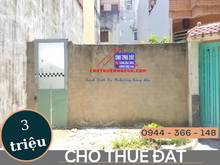 Hình ảnh Chính chủ cho thuê đất trống Kế số nhà 42/28 đường số 3, phường 9, GV