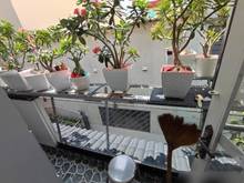 Hình ảnh BIỆT THỰ ĐẸP  Trương Công Định, Trường Chinh, Ba Vân,Bàu Cát, 150m2,4T