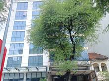 Hình ảnh Bán Tòa BuilDing 12 Lầu 1800m2 Mặt Tiền Võ Văn Tần P6 Quận 3 Giá Hót