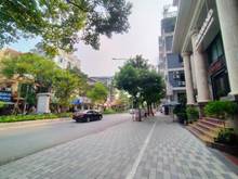 Hình ảnh Cần bán gấp đất phố Lạc Long Quân, Tây Hồ, 1 nhà ra phố oto tránh 180m