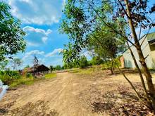 Hình ảnh NỢ THẬT SỰ. thanh lý gấp hơn 1 sào vườn trái cây, SHR