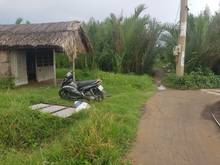 Hình ảnh Bán 1668m2 đất mặt tiền cách phà bình khánh cần giờ 1,5km, giá 4,4 tỷ