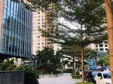 Hình ảnh Chính chủ cần bán Trang Chủ MB66.COM / Đăng Ký Tặng 66K chung cư Victoria Văn Phú.DT 118m,