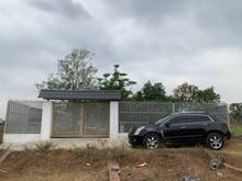 Hình ảnh Bán nhà vườn 1.000m²,có nhà, ao cá,vườn trái cây đủ loại Bình Chánh