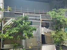 Hình ảnh Nhà Nát Hẻm Xe Hơi Cư Xá D, (4x17m), Gần Chợ Hồ Trọng Quý