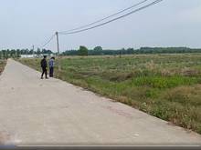 Hình ảnh 20x50  1000m2, 730tr Đất Sào giá rẻ, Nha Bích, Chơn Thành, Bình Phước.