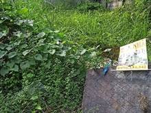 Hình ảnh Đất bán mặt tiền Đường số 6 Linh Tây Tp Thủ Đức