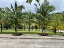Hình ảnh Bán đất biệt thự Giáng Hương Nha Trang - Yên tĩnh - An Ninh