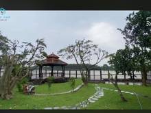 Hình ảnh bán Trang Trại 12ha nuôi bò  Xuân Bắc Xuân Lộc Long Khánh