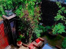 Hình ảnh Bán Biệt thự full Gỗ 10x21m; 210m2, P13, TB. Giá chỉ 100tr/m2