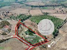 Hình ảnh Bán 1,2 hecta đất CLN hồng liêm, có ao, vườn điều cách cao tốc 2km.Sổ