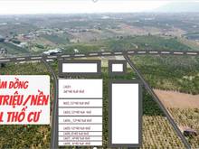 Hình ảnh Đất nền Lâm Đồng 420 triệu/240m2 (lên thổ cư  100%)